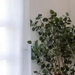 Eden - Six Bedroom Vila Dubrovnik